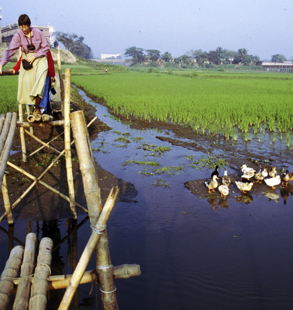 Bangladesh bridge