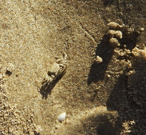 sand bubbler