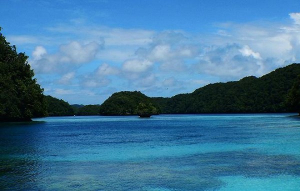 The water between the islands of the Republic of Palau is full of coral, marine mammals and other wildlife. <br>©2015 Susan Scott